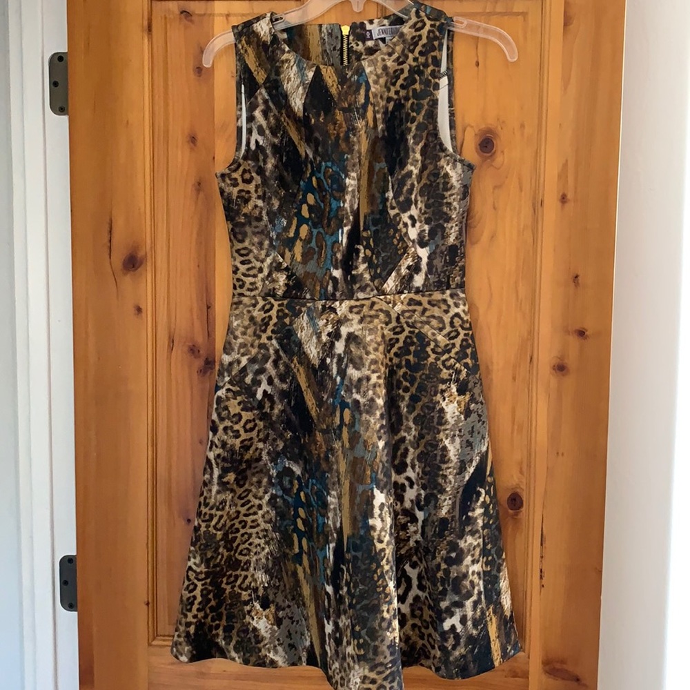 Animal print dress.